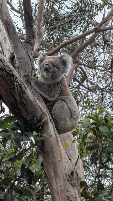 Aire River East Campground