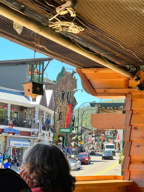 Cafe420 - Dispensary