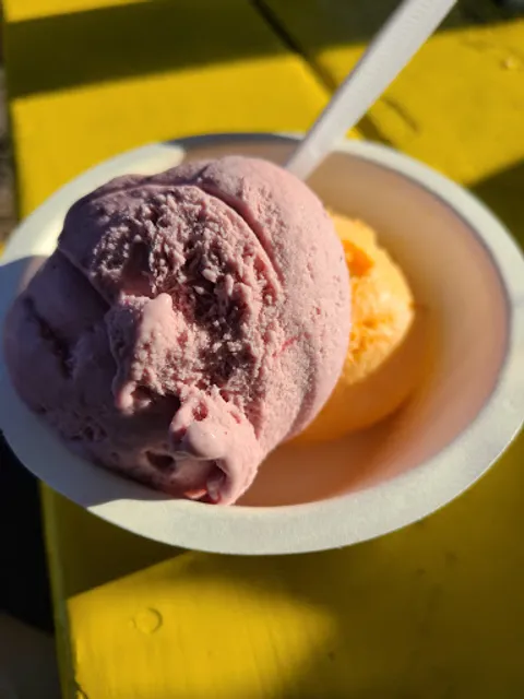 Hurry Back Ice Cream