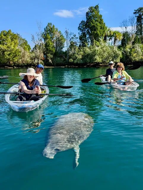 Get Up And Go Kayaking - Crystal River
