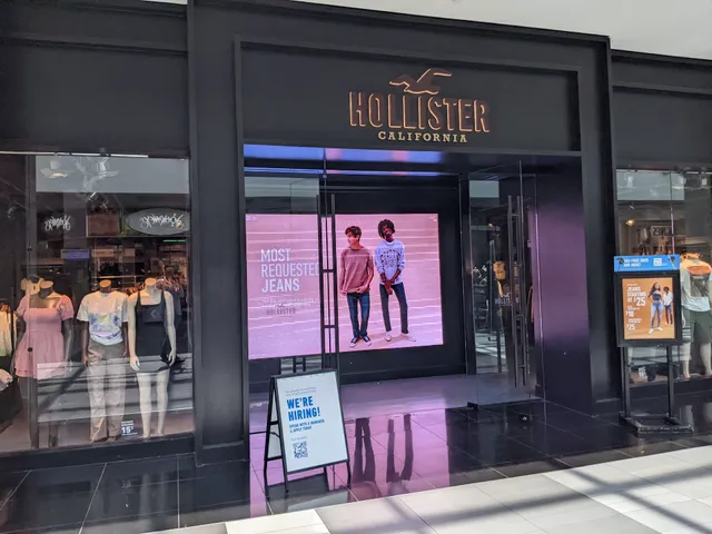 Hollister Co.