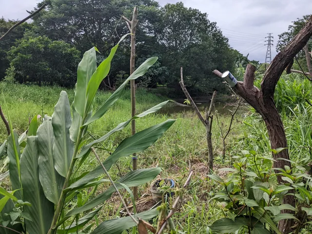永和社區大學生態教育園區
