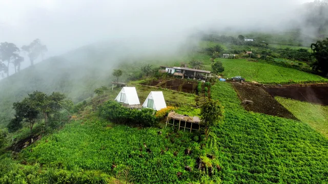 Mr.Shin Farmstay นย๊อยง ฟาร์มสเตย์