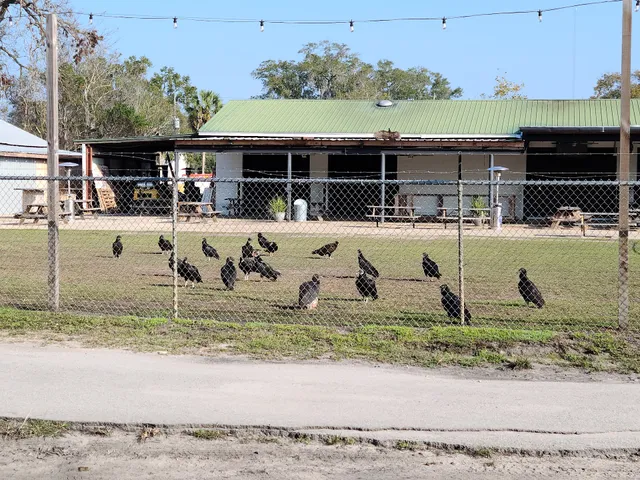 Mccall's TV Sales & Services