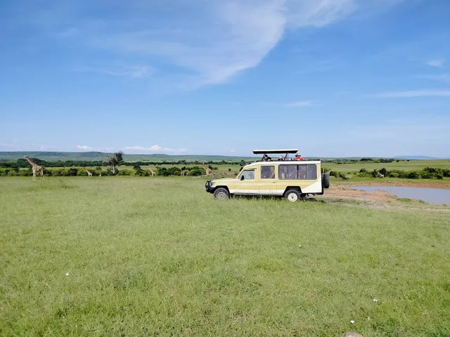 Better World Tours&Safaris