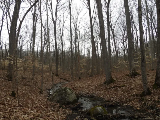 Barrett's Rim and Round Top Trailhead parking