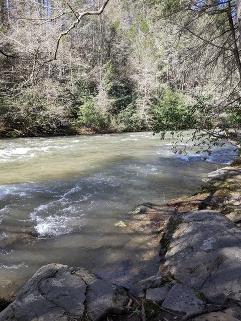A Tranquil Place - Fighting Creek Frontage