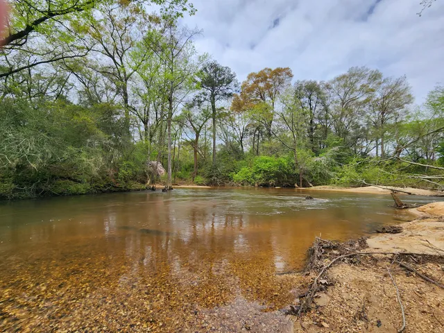 Doster Road Artesian Well House