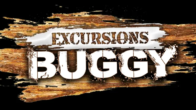 Excursions Buggy