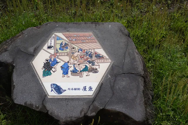 photo-1