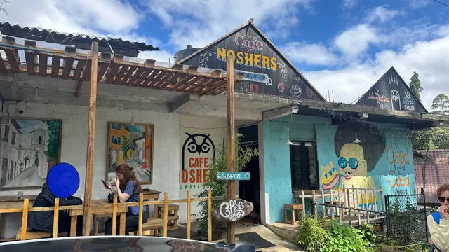 Cafe Noshers