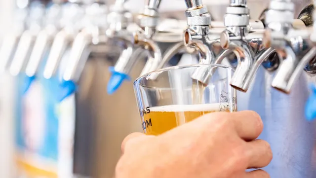 Stein Brewing Company