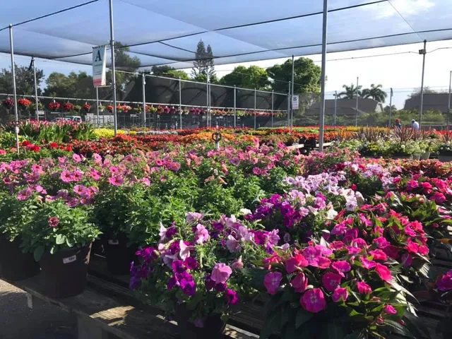 American Farms - Satellite Store