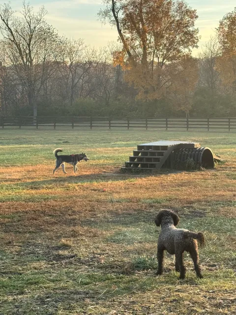 Veterans Park Dog Park