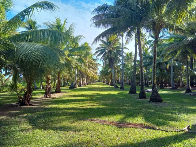 Wedding Cake Conservation Area