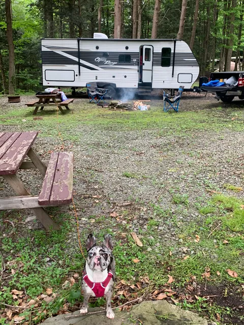 Shady Rest Campground