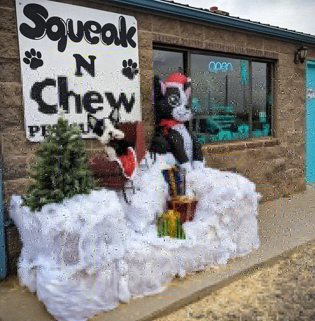 Squeak N Chew Pet Supplies