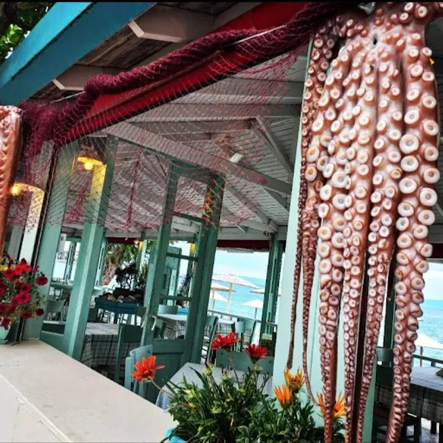 Ταβέρνα Δελφίνι