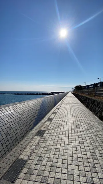 Kamakura Seaside Park Sakanoshita Area
