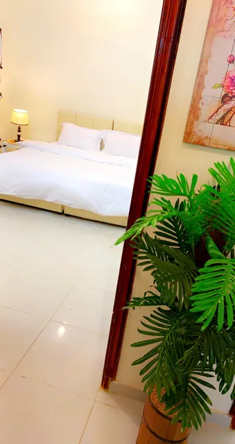 شقة شتاء العلا