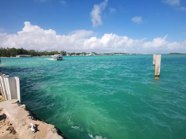 Bimini, bahamas