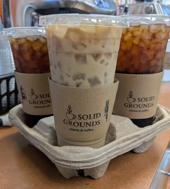 SOLID GROUNDS-SOMERVILLE