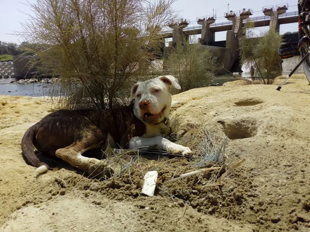 Hotel Los Cocos Del Chipe