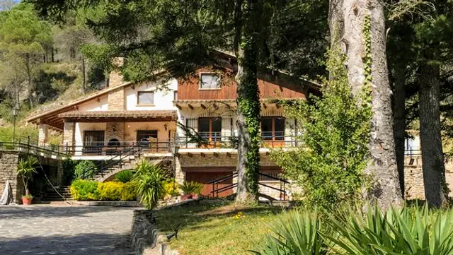 Els Avets De La Muga