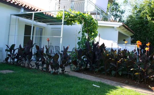 Apartments Morgan Umag