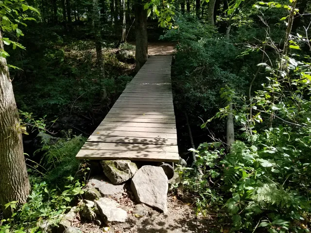 Lime Kiln Conservation Area