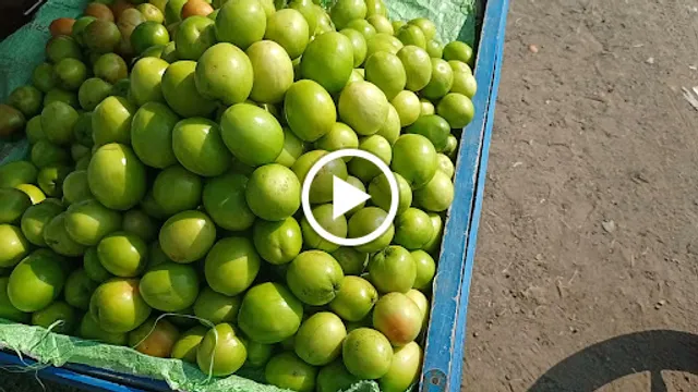 Madras Dosa & Chinese