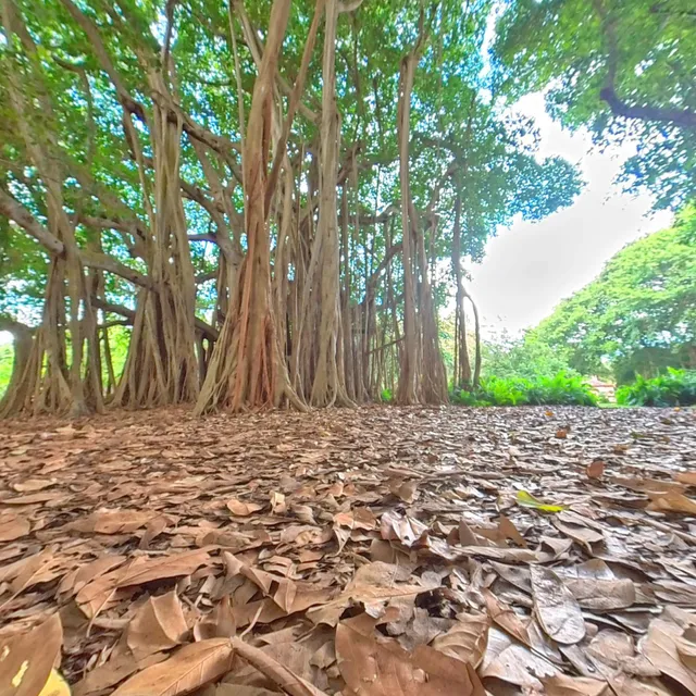 David Bolger Playspace