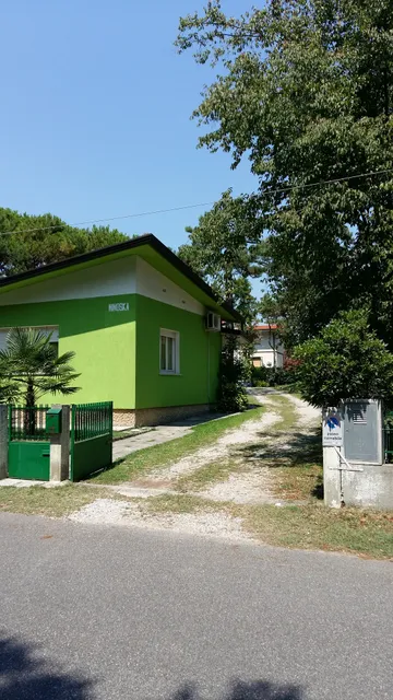 Ville Nelson-Ninoska