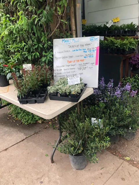 Another Place in Time