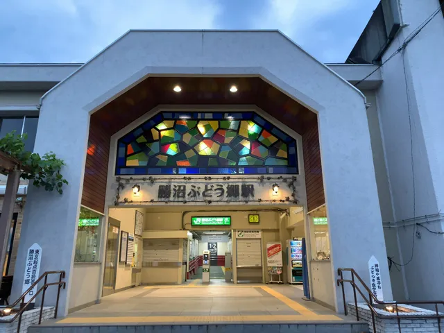 Katsunumabudokyo Station