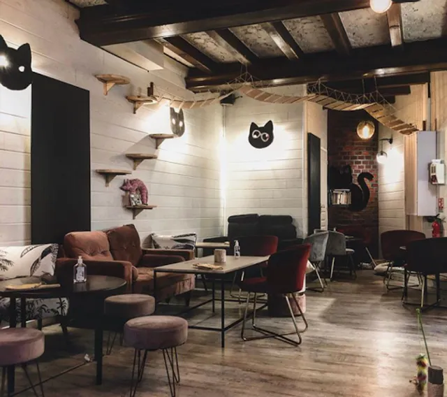 Mia House bar à chats