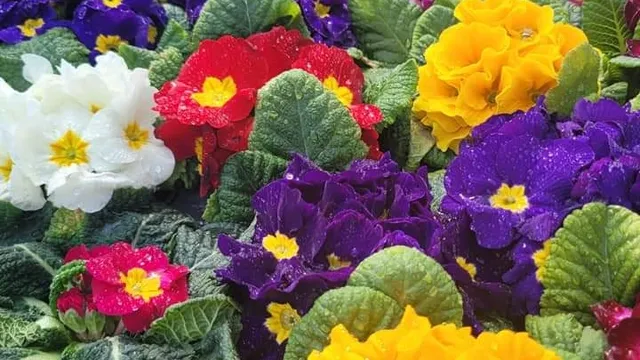 Creekside Farm and Market