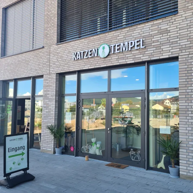 Katzentempel Heidelberg