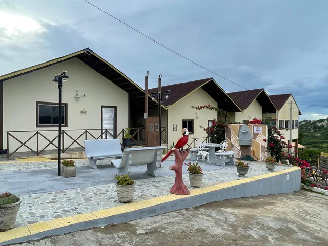 Encanto dos Pássaros