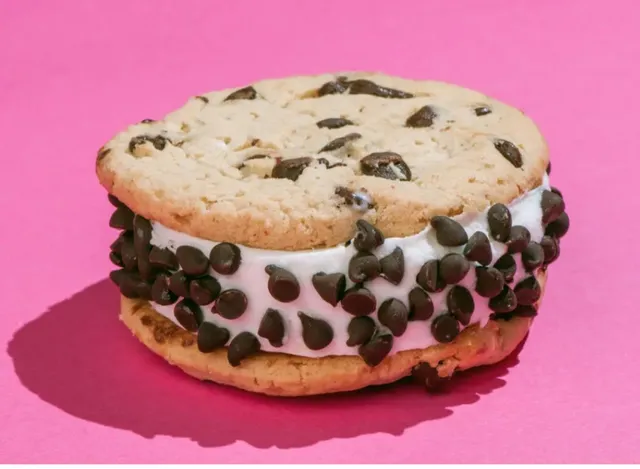 MR. COOL INC ICE CREAM TRUCK