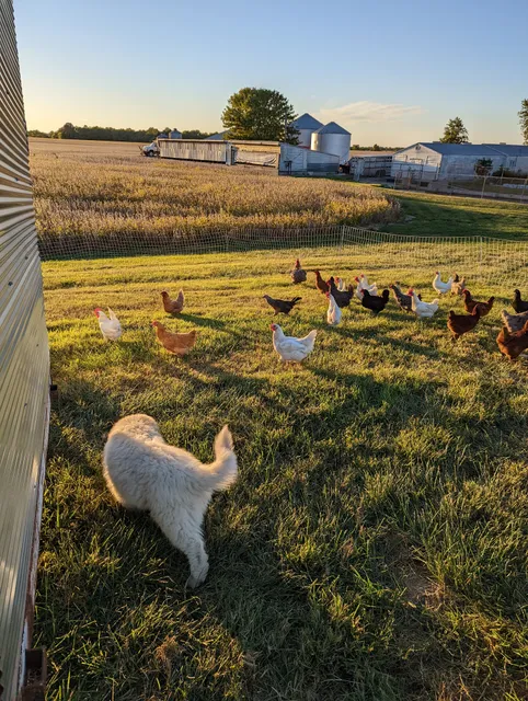 Spare Thyme Farms LLC