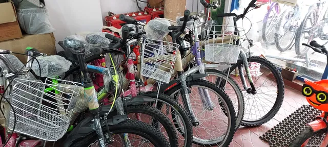 Presidency cycle importing co