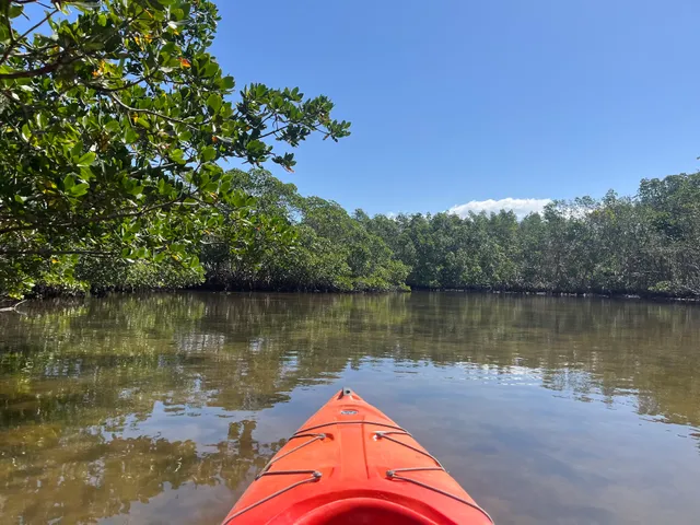 ECOmersion Kayak & SUP Rentals