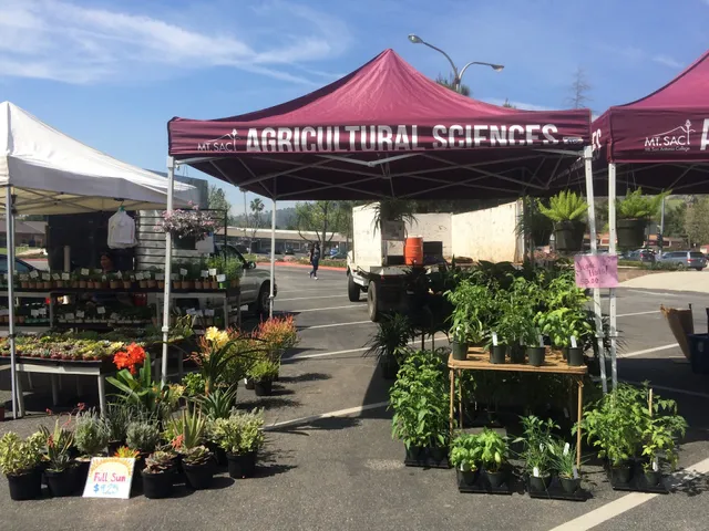 Farmers Market at Mt. SAC