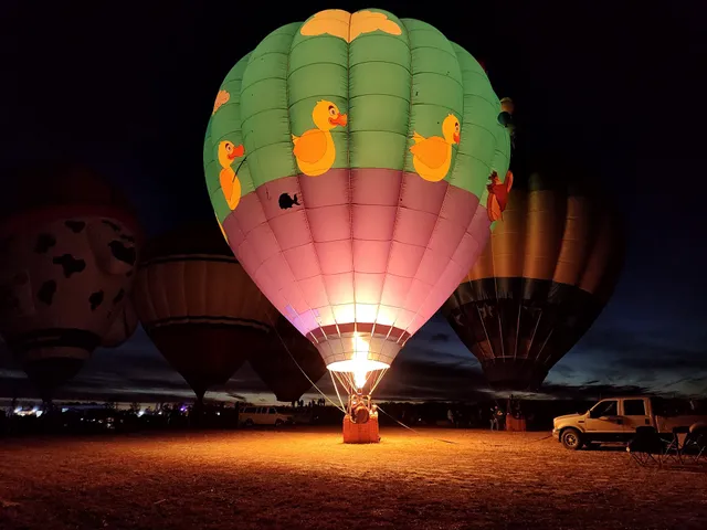 Wind Vineyards at Laurel Grove