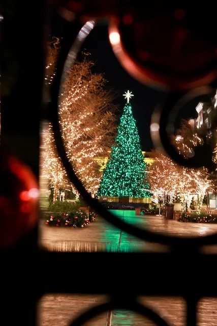 Highlights Holiday Lighting