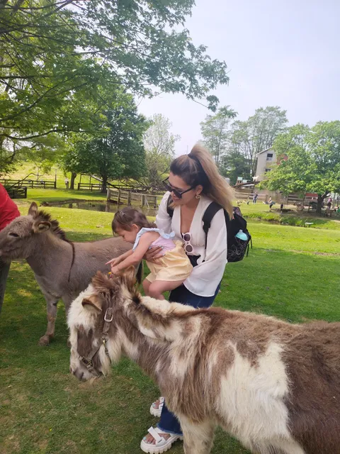 Baugher's Petting Zoo