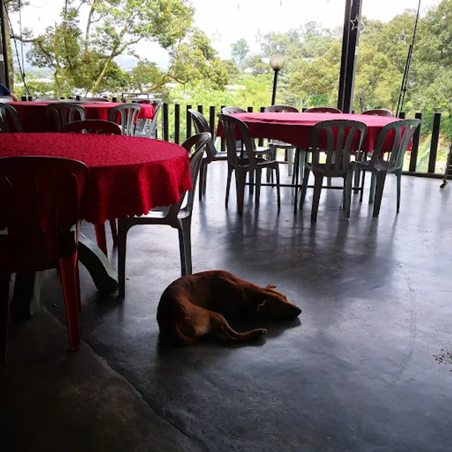 Langat Forest Seafood and Beer Garden 呀吃盛林啤酒园 （山水鱼）