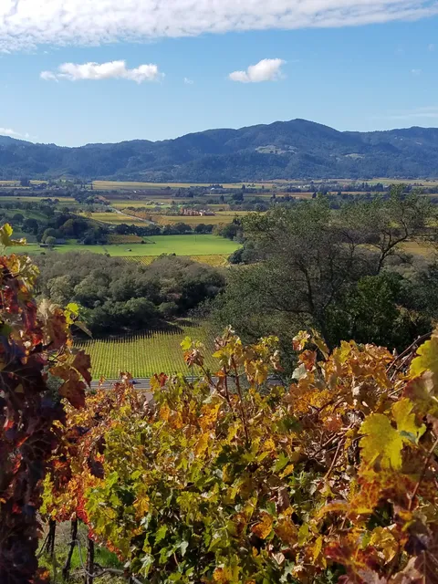 Dalla Valle Vineyards