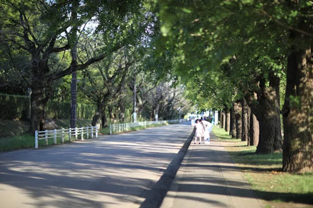 Sakura Castle Ruins Park